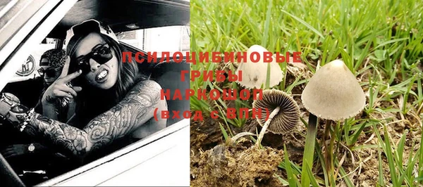 молекула духа Богородск