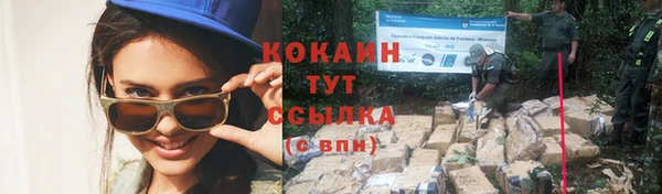 молекула духа Богородск