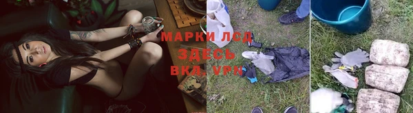 мескалин Богданович