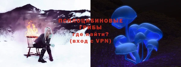 молекула духа Богородск