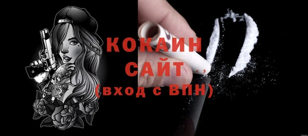 молекула духа Богородск