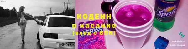 трава Белокуриха