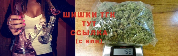индика Белоозёрский